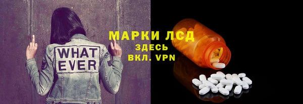 сатива Елизово