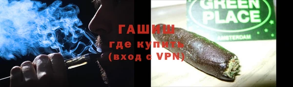 сатива Елизово