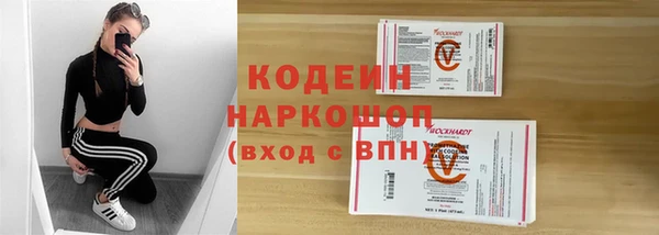 сатива Елизово