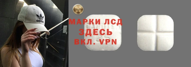 spice Сясьстрой
