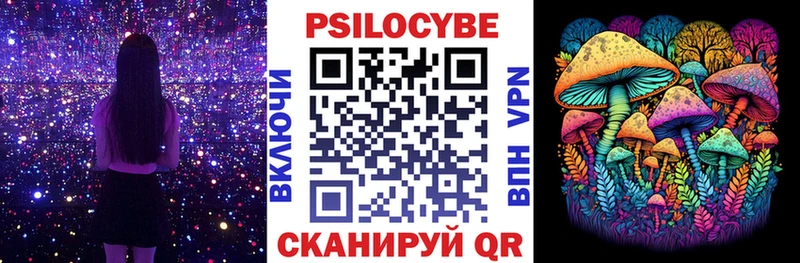 магазин  наркотиков  Красногорск  кракен как войти  Псилоцибиновые грибы Psilocybine cubensis 